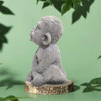 "The Maverick" Velvet Monkey (Slate Grey)