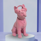 Blush Pink Velvet Frenchie: Streetwear Edition