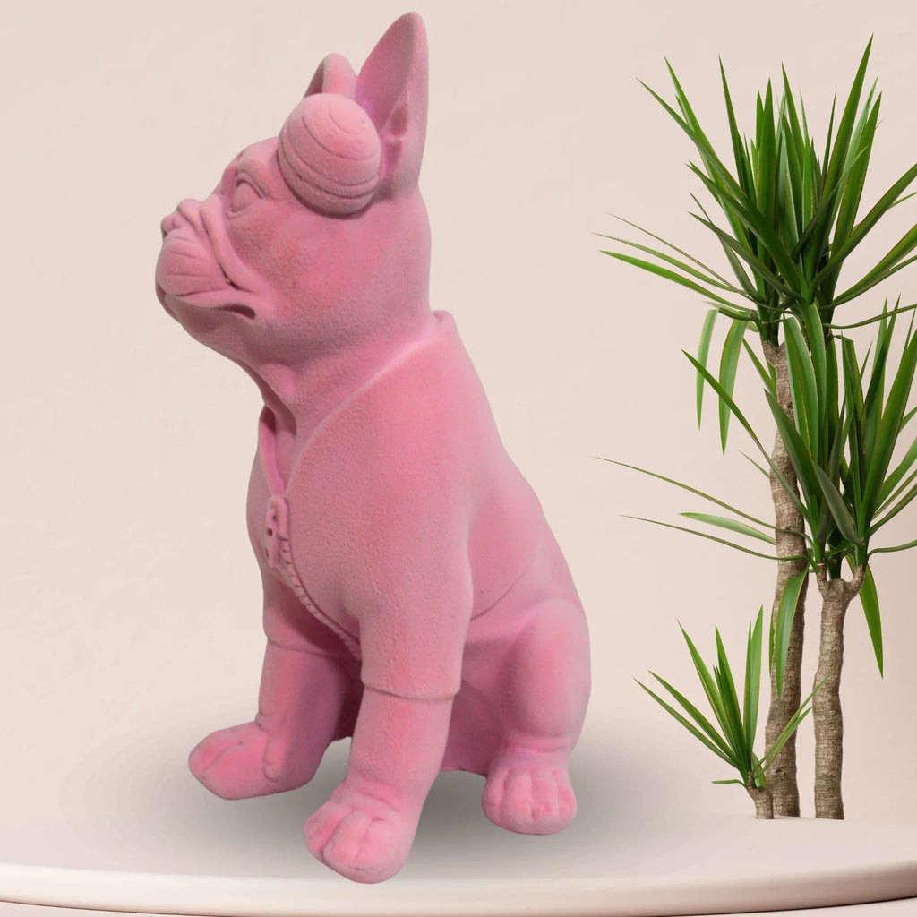 Blush Pink Velvet Frenchie: Streetwear Edition