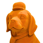 "The Gentleman" Velvet Dog (Sunset Orange)