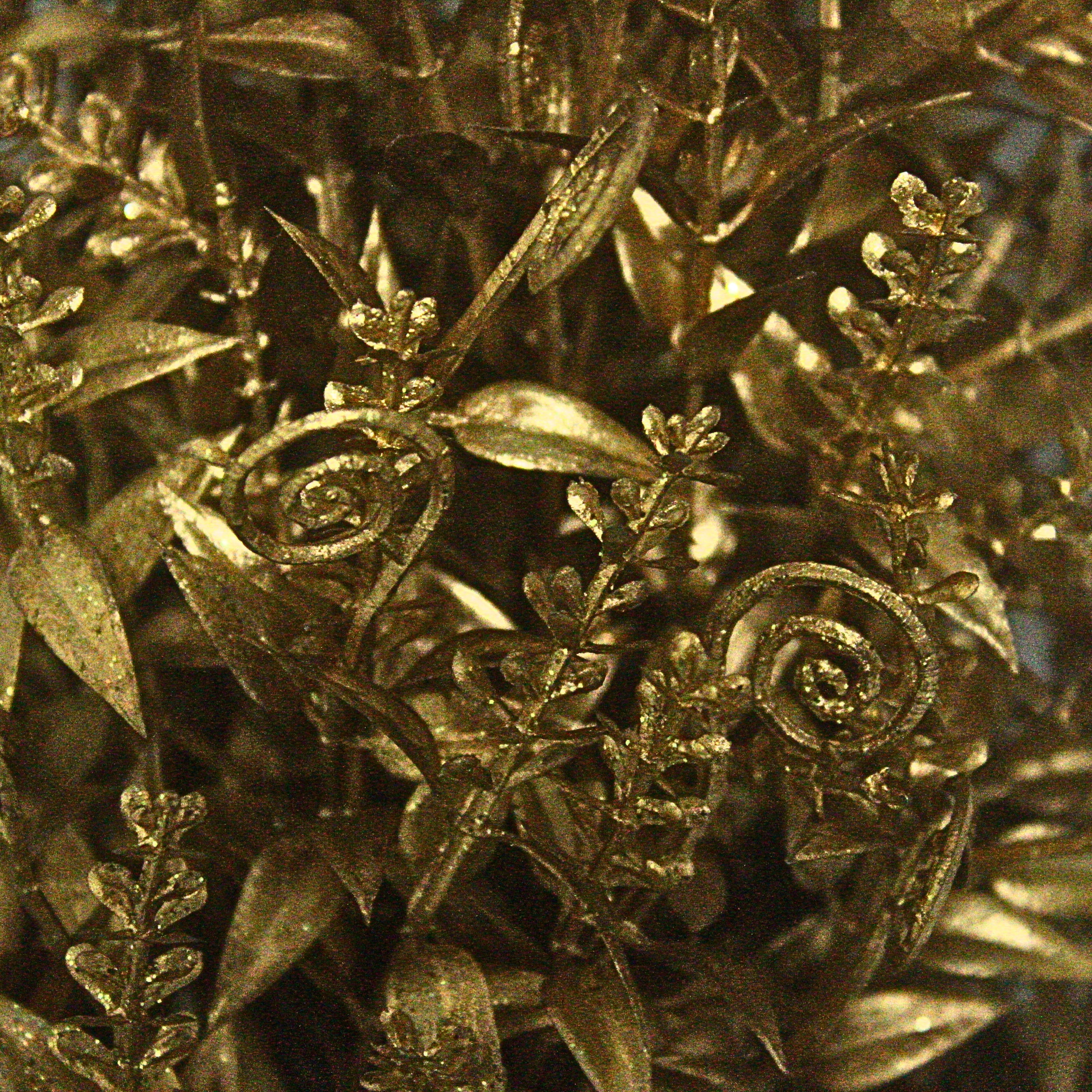 Golden Elegance: A Luxurious Potted Plant