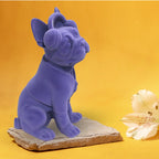 "The Trendsetter" Velvet Frenchie (Royal Purple)